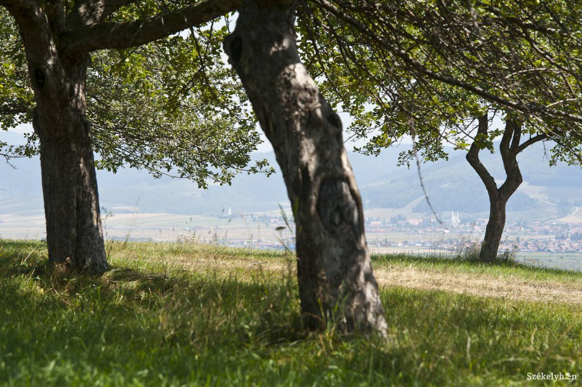 &bullet;  Fotó: Kristó Róbert