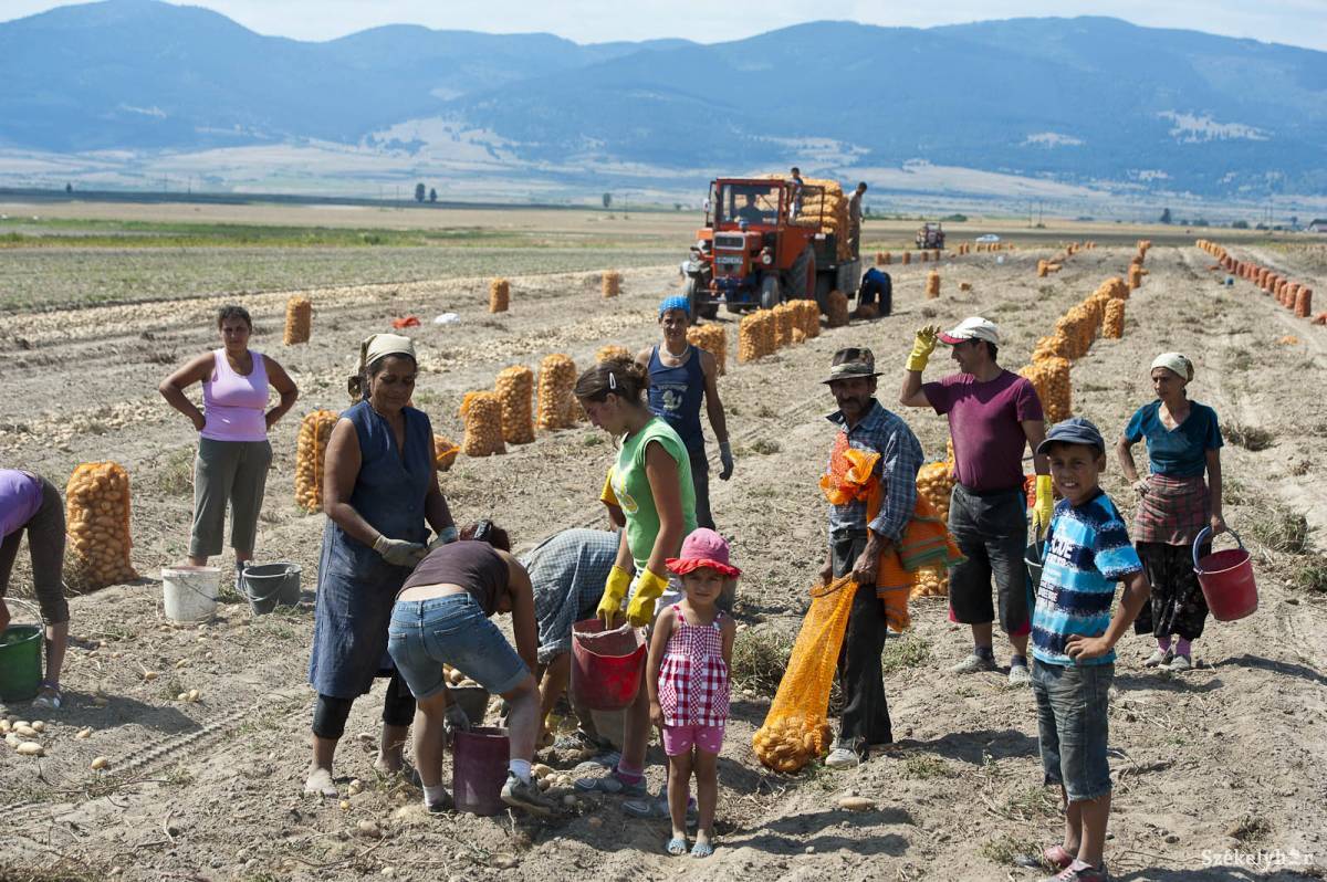 &bullet;  Fotó: Kristó Róbert