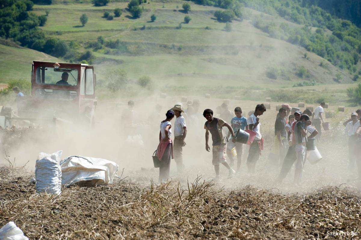 &bullet;  Fotó: Kristó Róbert