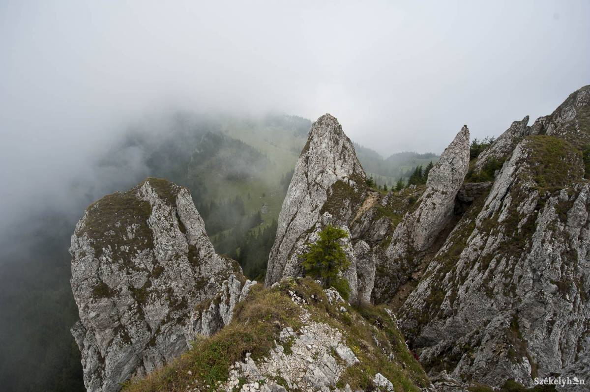 •  Fotó: Kristó Róbert