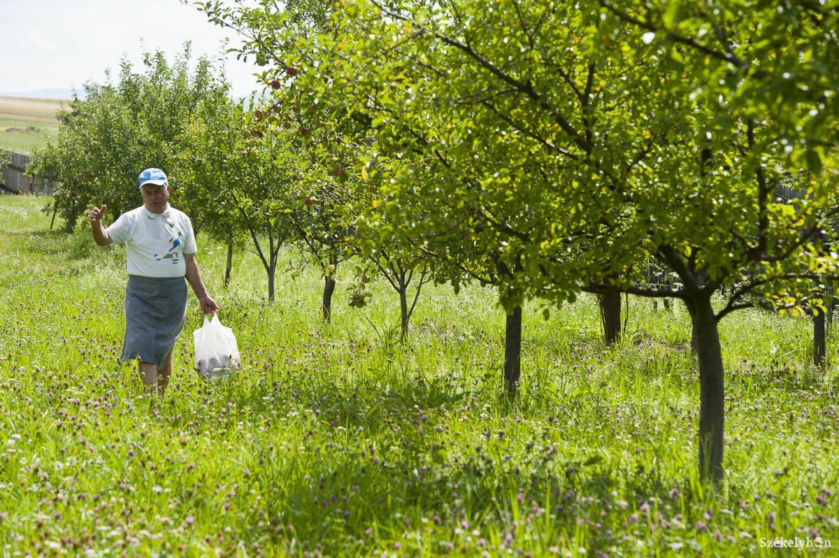 &bullet;  Fotó: Kristó Róbert