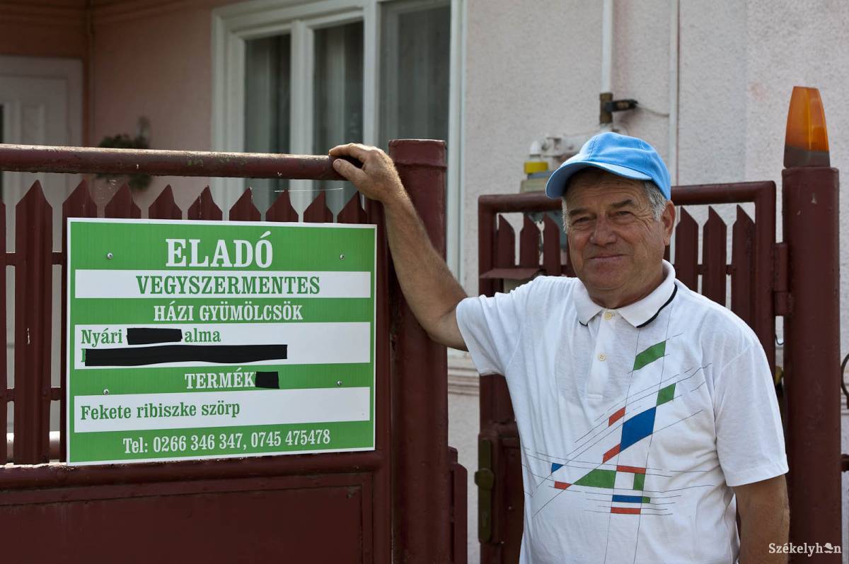 Számos erdélyi biotermelő sikertörténetté fejlesztette a biogyümölcs termesztését &bullet;  Fotó: Kristó Róbert