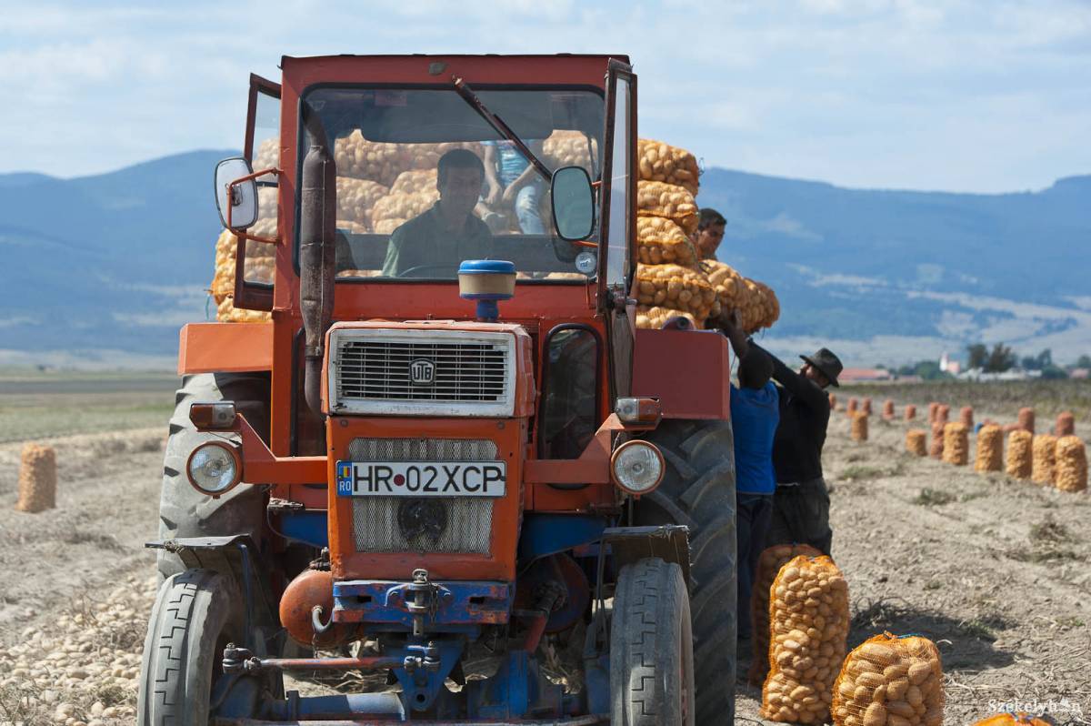 &bullet;  Fotó: Kristó Róbert