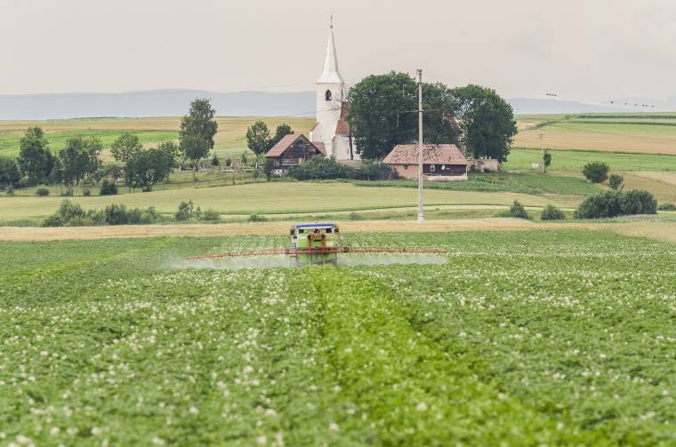 Védekezhetünk a burgonyabogár és burgonyavész ellen