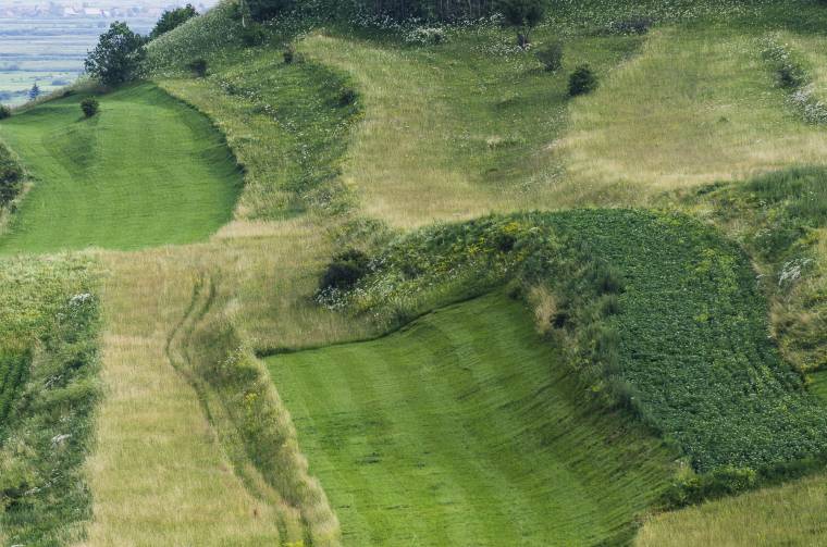 Bekerült a kölcsönösségi elv a külföldiek földvásárlását szabályozó törvénytervezetbe