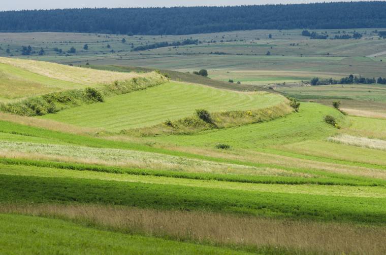 SAPS: több előleget kapnak a gazdák