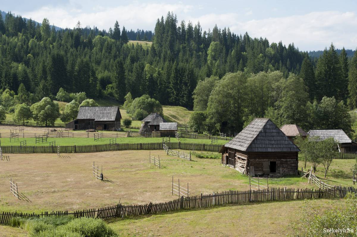 •  Fotó: Kristó Róbert