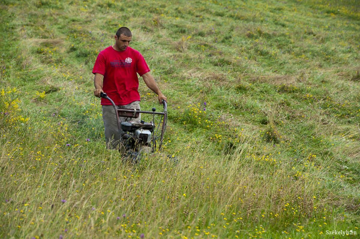 &bullet;  Fotó: Kristó Róbert