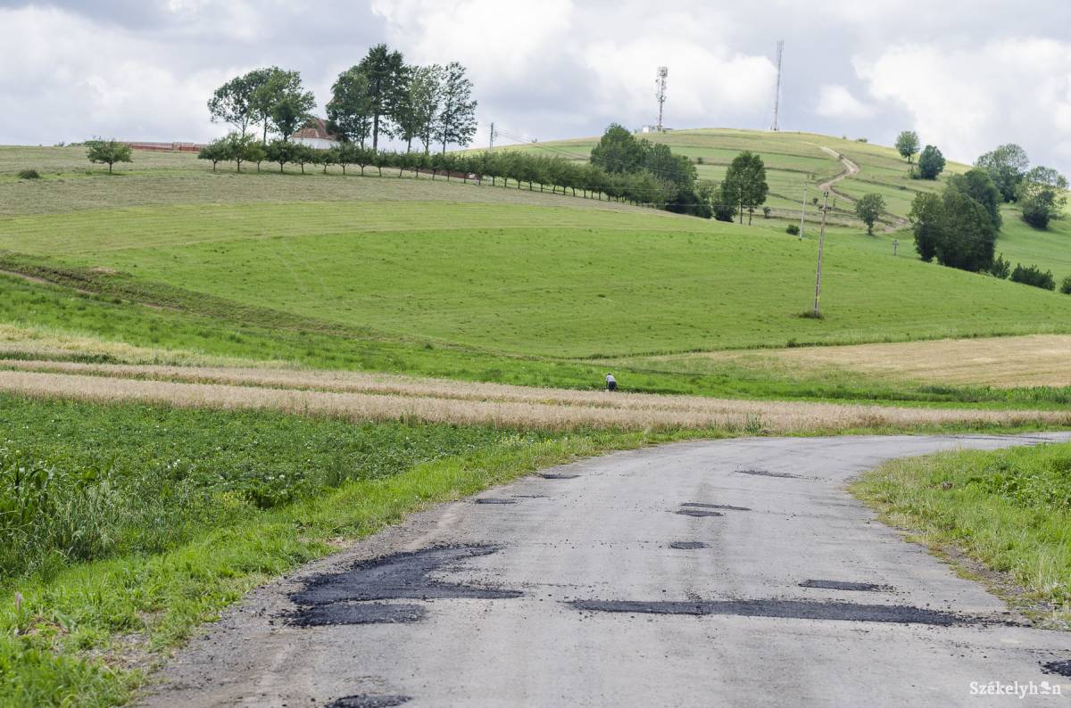 •  Fotó: Veres Nándor