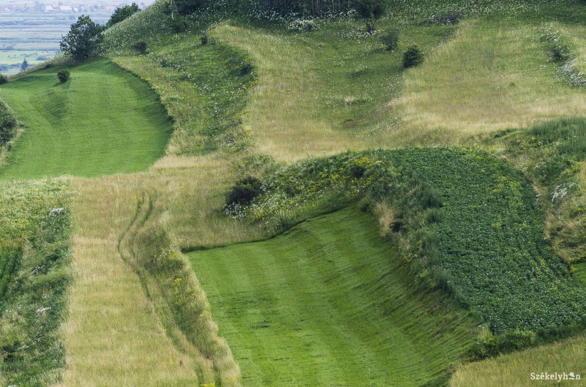 • Fotó: Veres Nándor