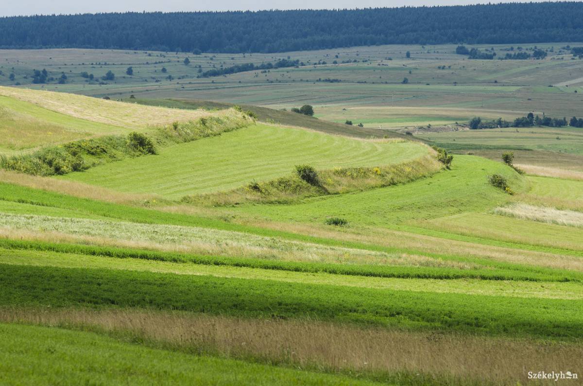 Az üzemtervekben a kaszálók, legelők technikai, szervezési, gazdasági és talajfeljavítási intézkedéseit összegzik. Archív •  Fotó: Veres Nándor