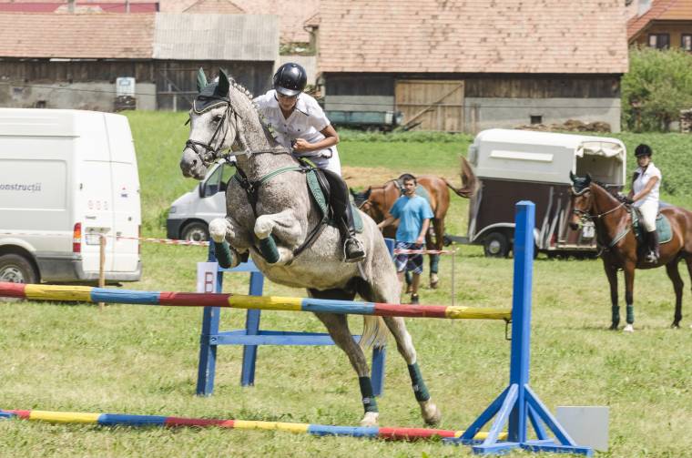 Fogathajtás, galopp és díjugratás