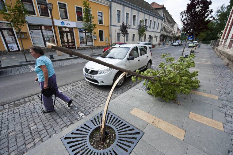 Vandálok garázdálkodtak a felújított Petőfi utcában