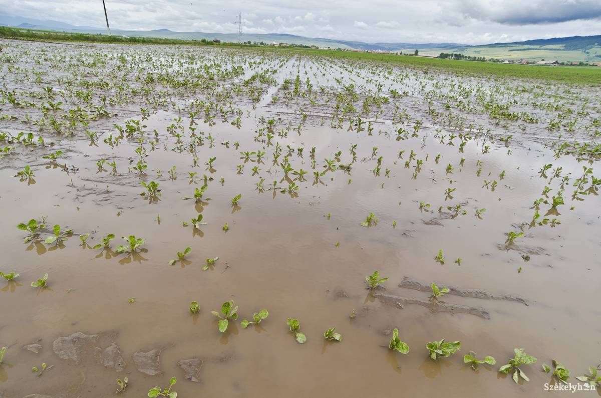 &bullet;  Fotó: Veres Nándor
