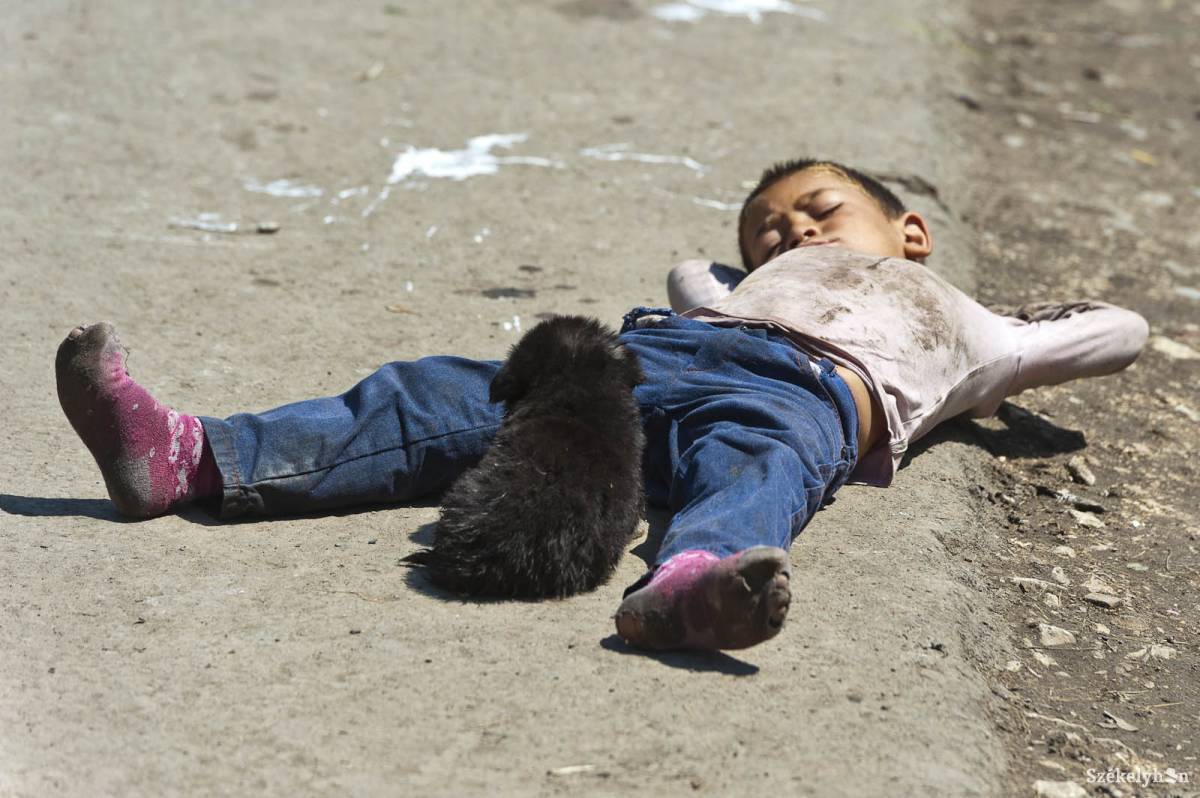 • Fotó: Kristó Róbert