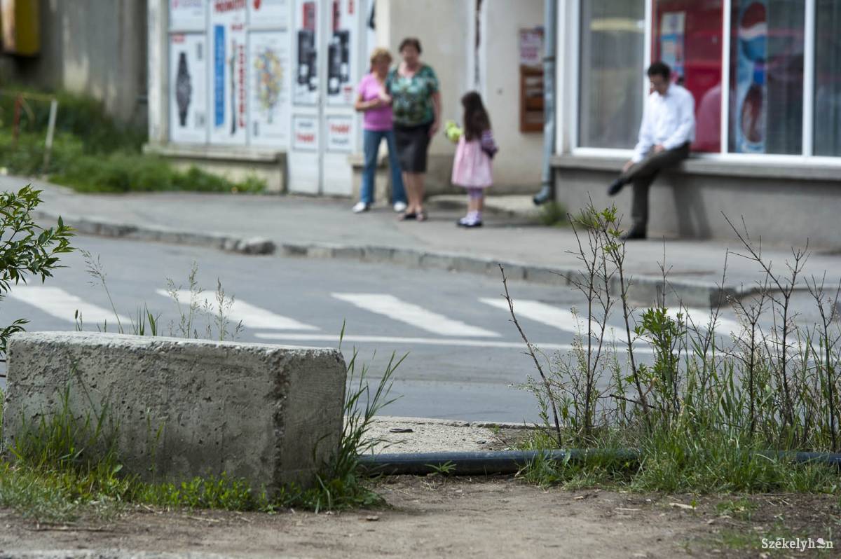 •  Fotó: Kristó Róbert