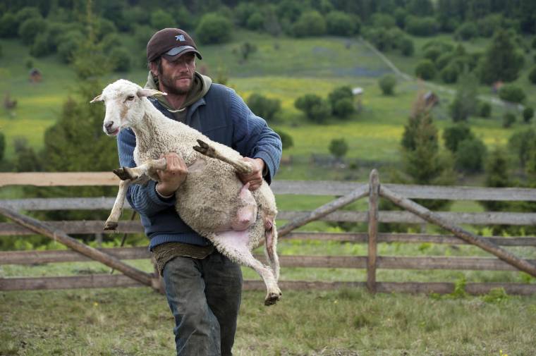 Nem verik le egymást a megbízatásért a pásztorok