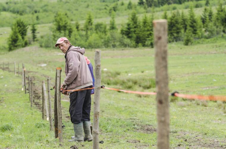 Medvék okozzák a legtöbb kárt