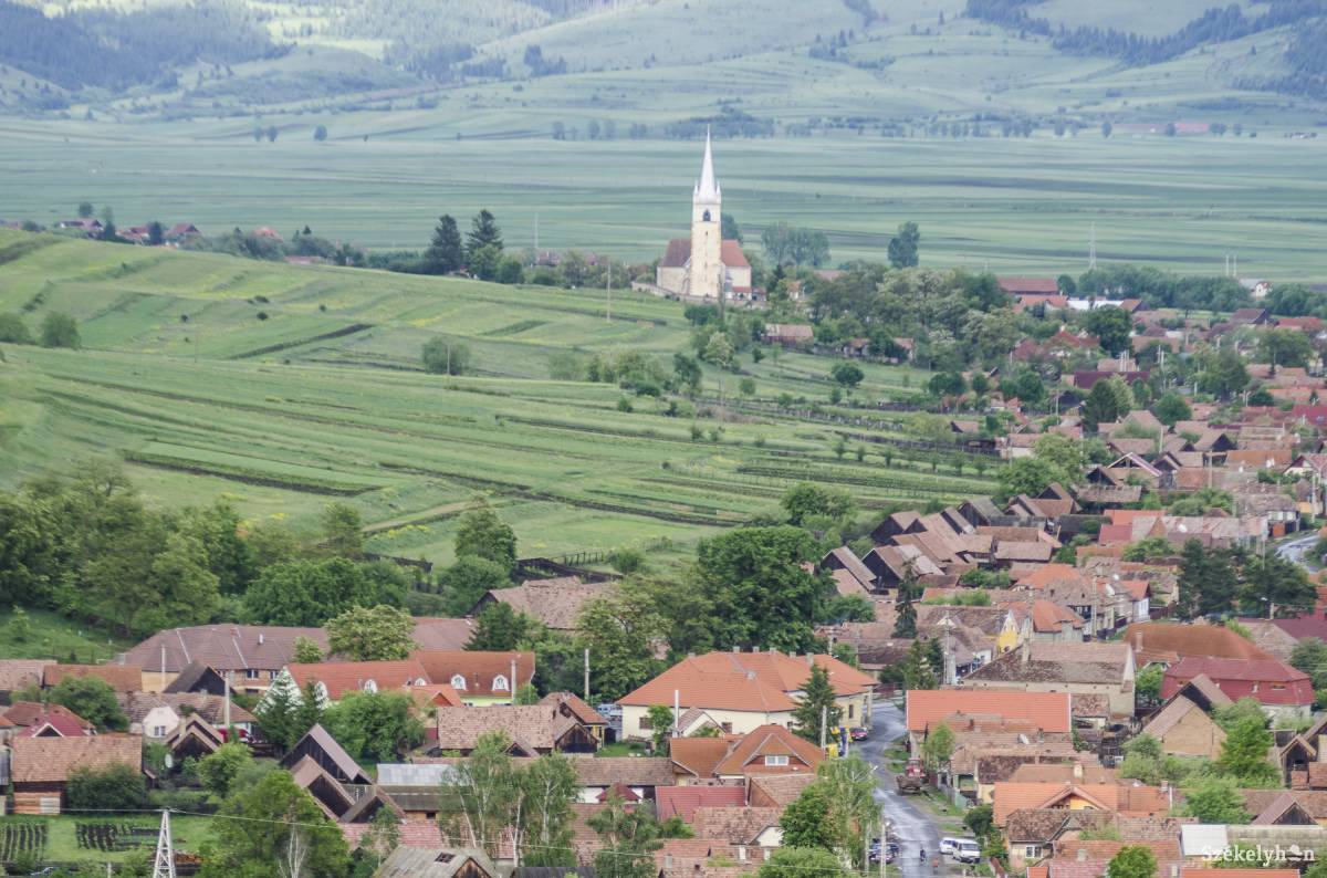 •  Fotó: Veres Nándor