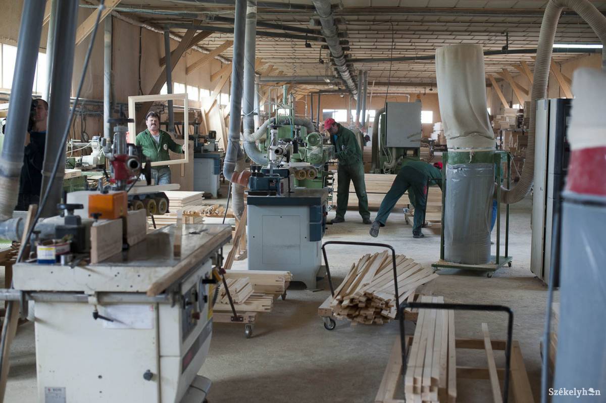 • Fotó: Kristó Róbert