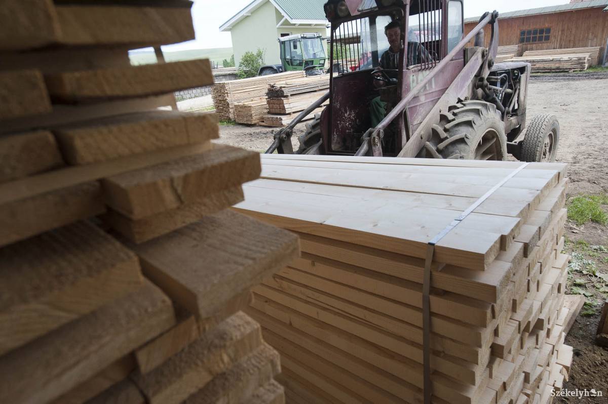 • Fotó: Kristó Róbert