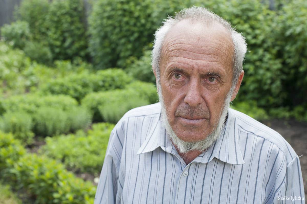 •  Fotó: Kristó Róbert