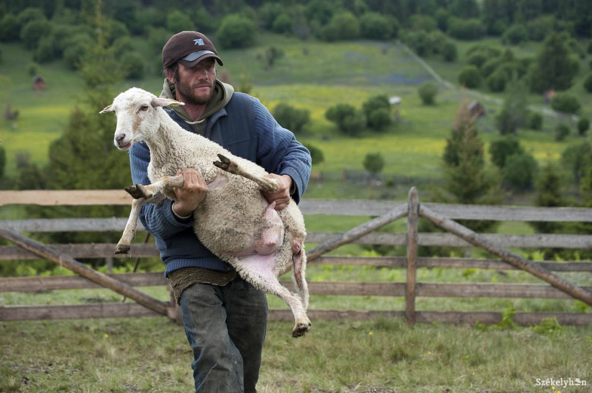 • Fotó: Kristó Róbert