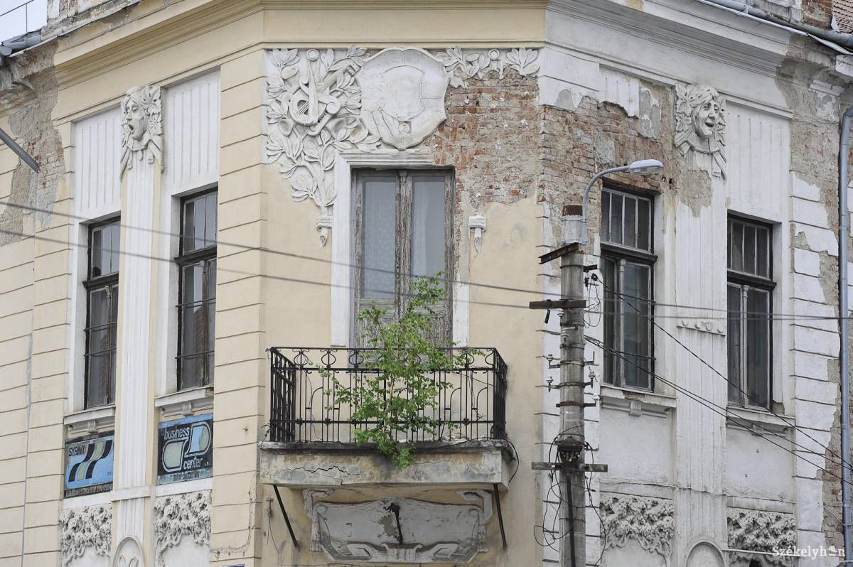 • Fotó: Kristó Róbert