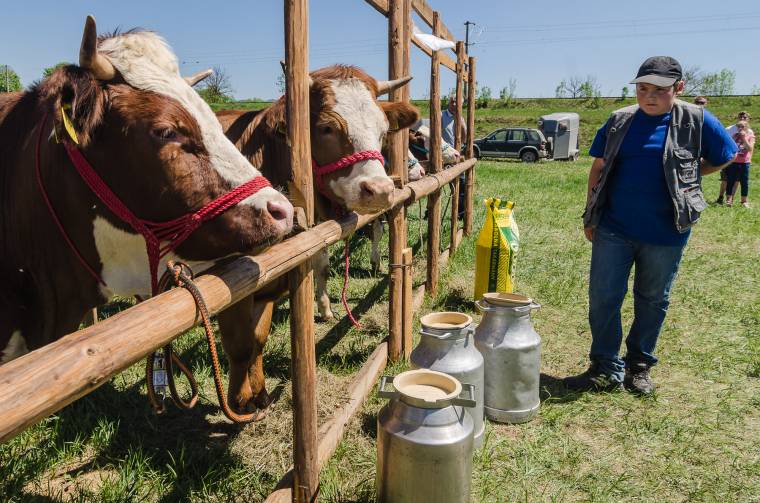 Gazdanap a hagyományok és újdonságok jegyében