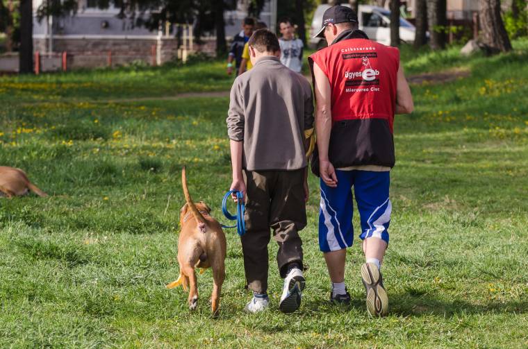 Kutyák segítik a sérült gyermekek fejlesztését
