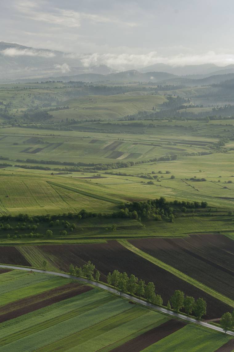 Nem tudni mikor utalják a SAPS-előlegeket
