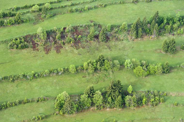 Területfelmérést tartanak a Tatárszállás dűlőben