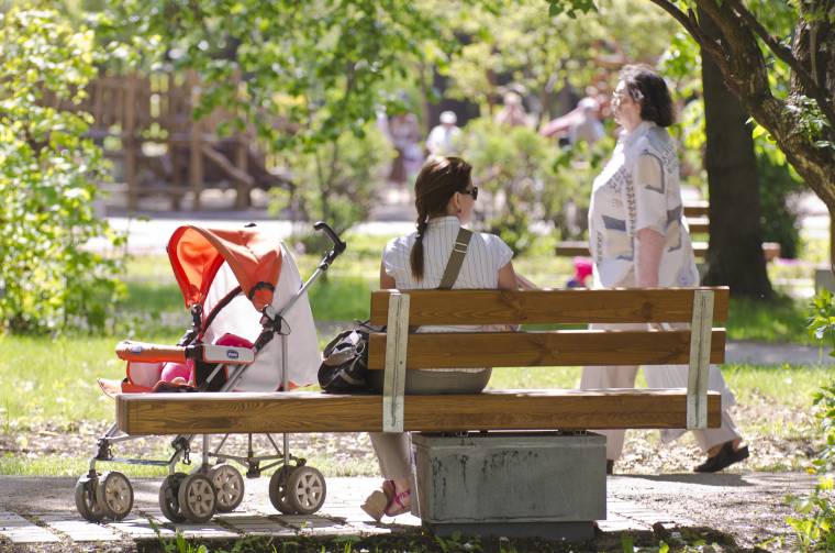 Nem lesz szabályzat a városi parkban