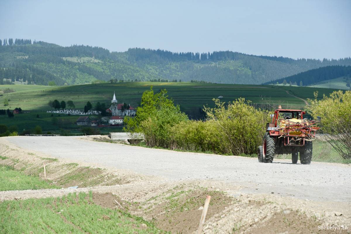 •  Fotó: Kristó Róbert