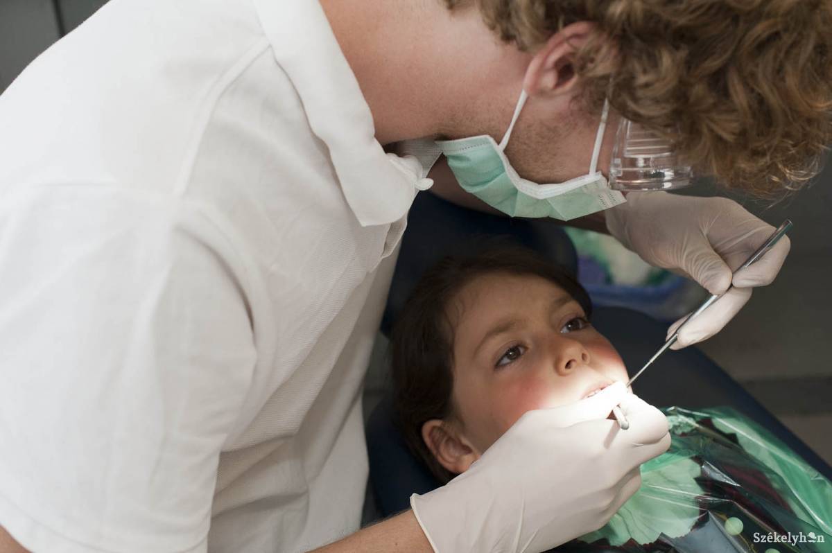 &bullet;  Fotó: Kristó Róbert