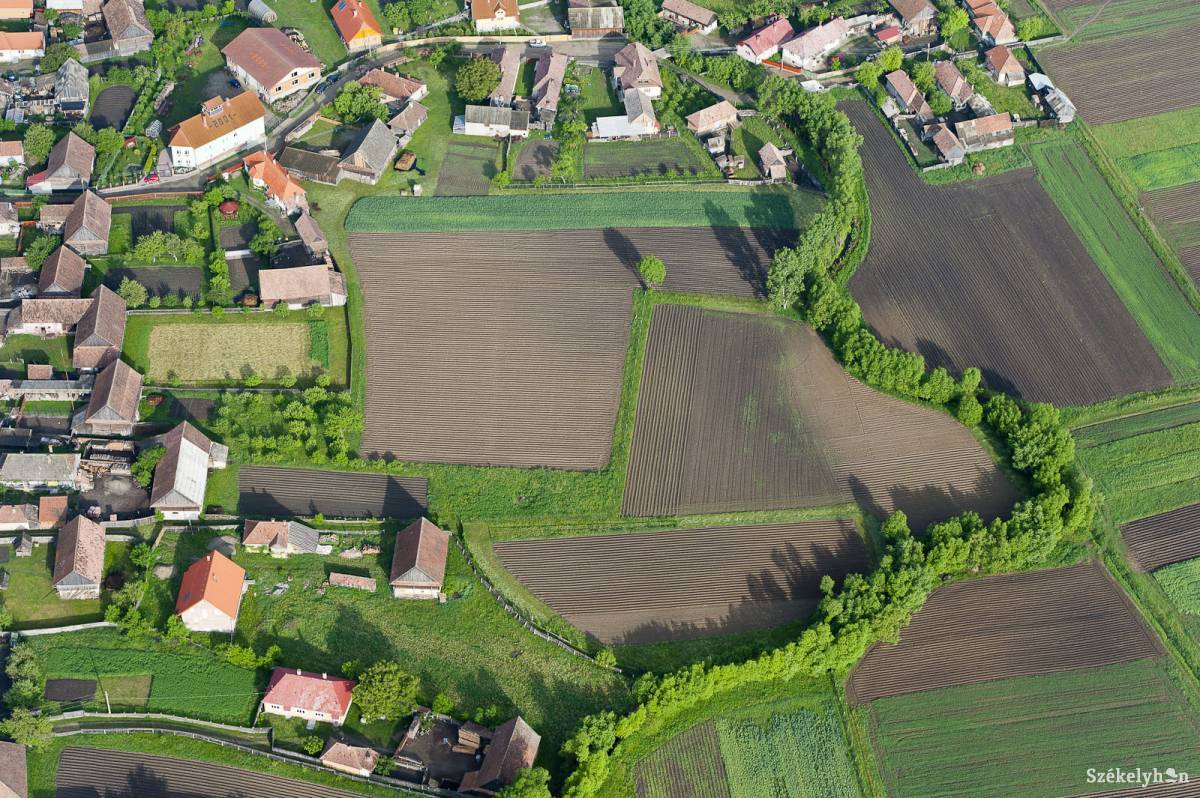 •  Fotó: Kristó Róbert