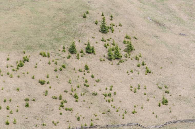 Mentorprogram a természetvédelem iránt érdeklődő fiatalok számára