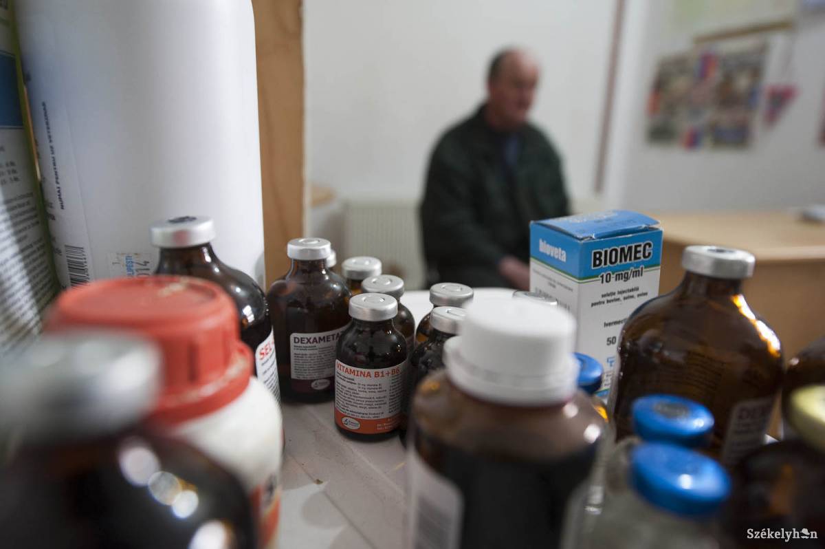 &bullet;  Fotó: Kristó Róbert