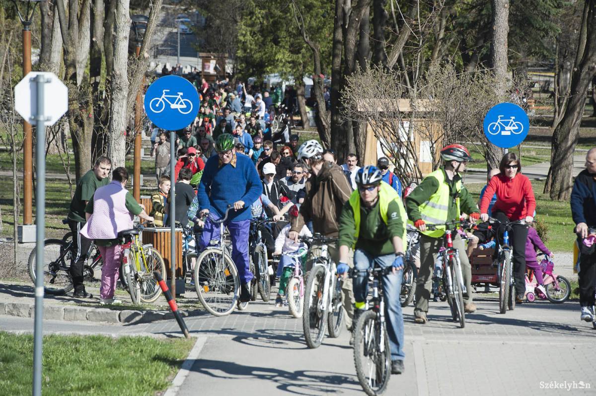 Archív &bullet;  Fotó: Kristó Róbert