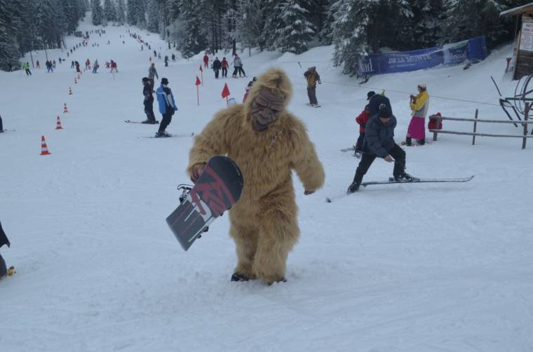 Hargitafürdőre csalogató rendezvények