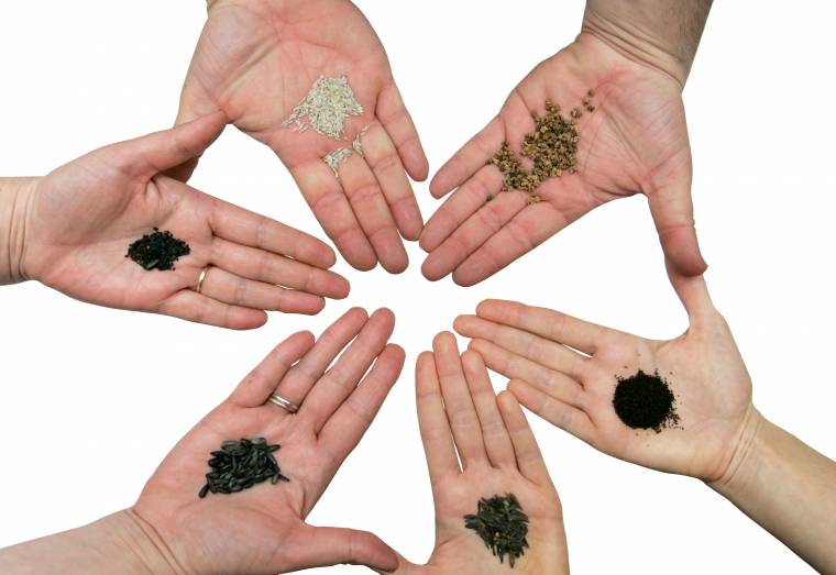 Magbörzét tartanak Csíkszeredában