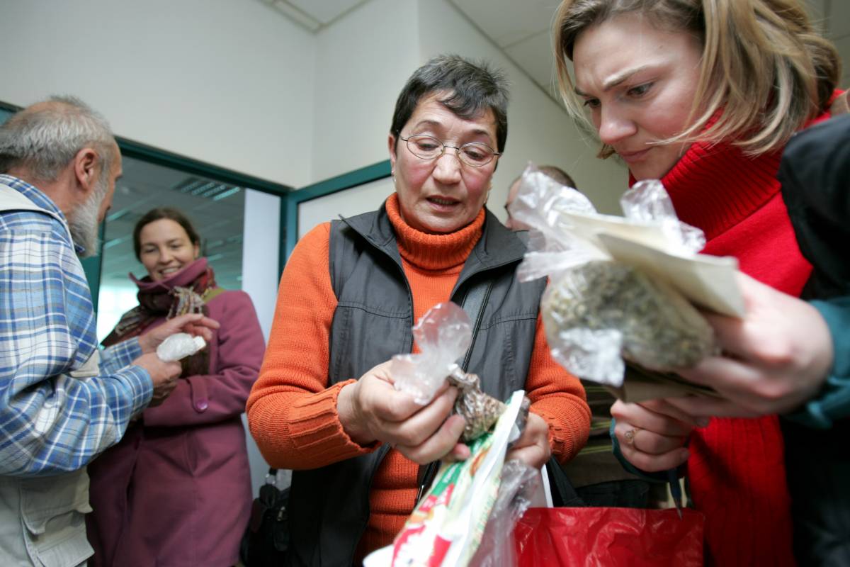 • Fotó: Mihály László