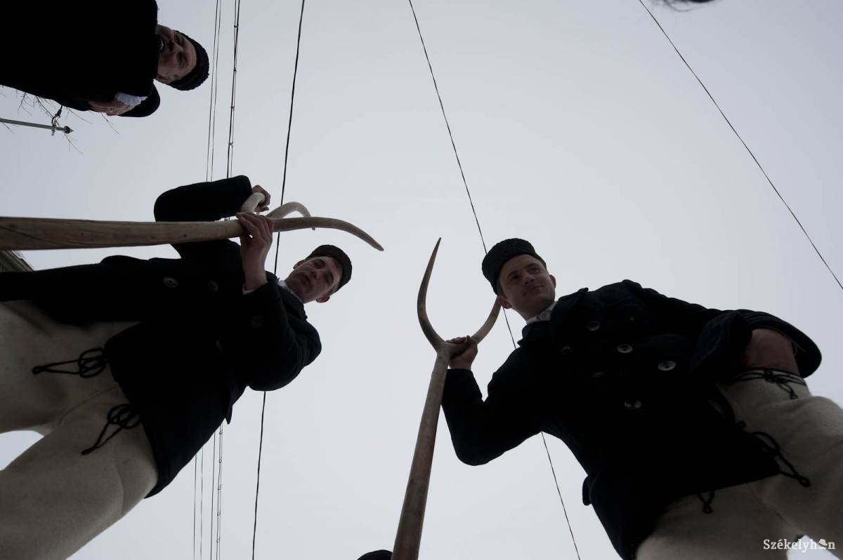 • Fotó: Kristó Róbert