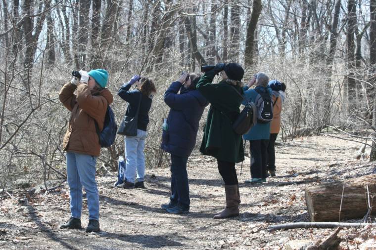 Téli madárles-fotópályázat