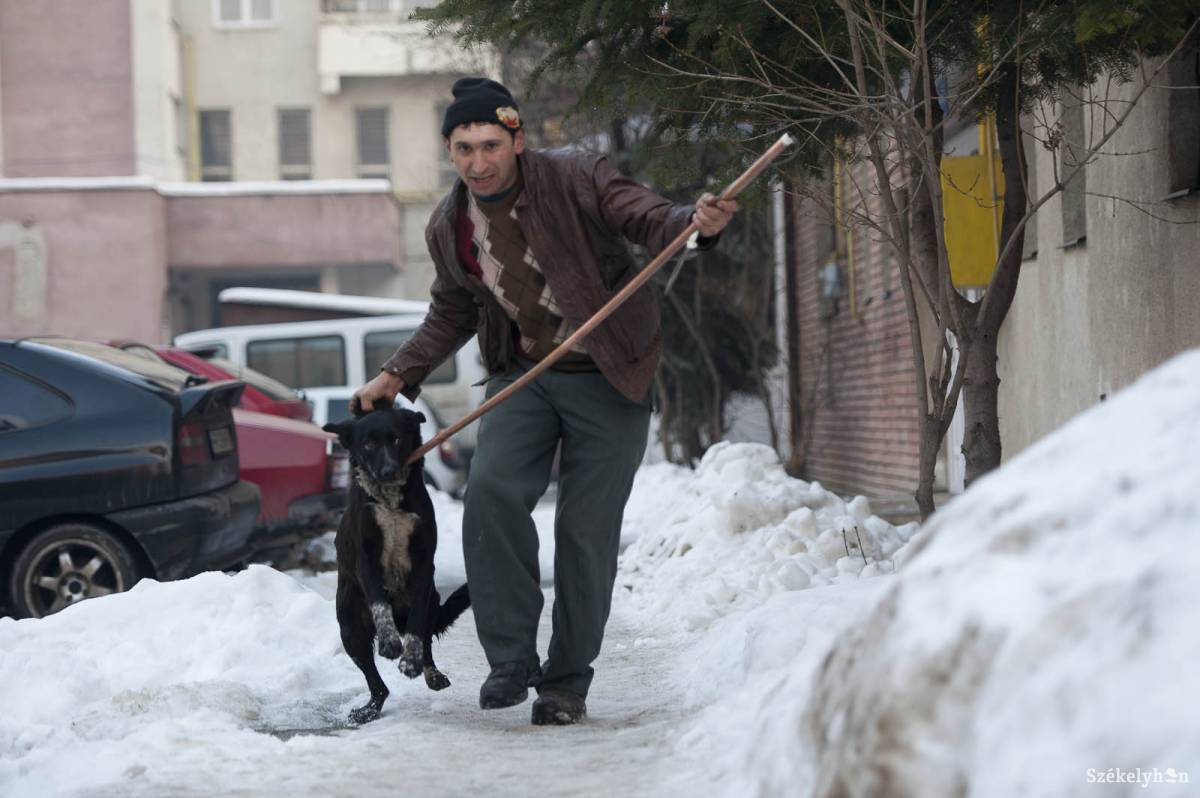 • Fotó: Kristó Róbert