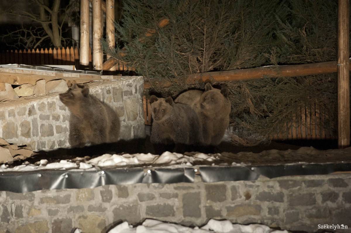 &bullet;  Fotó: Kristó Róbert