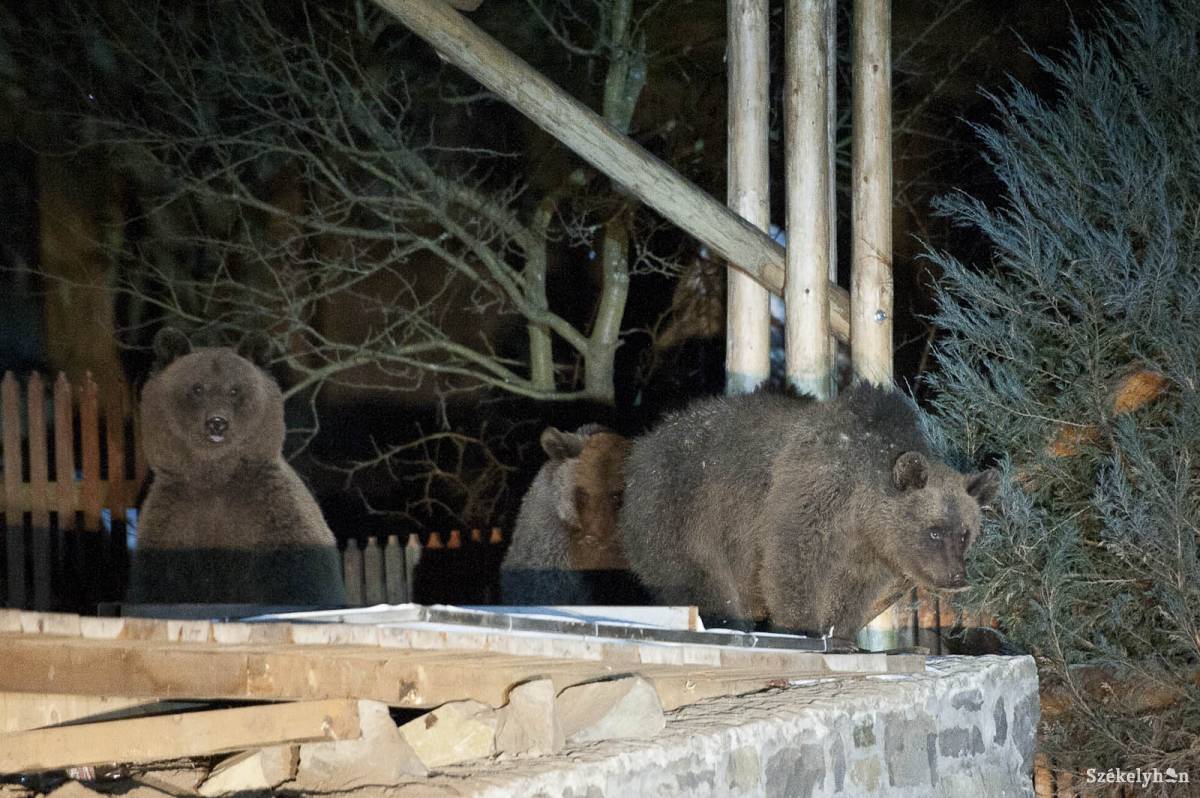 &bullet;  Fotó: Kristó Róbert