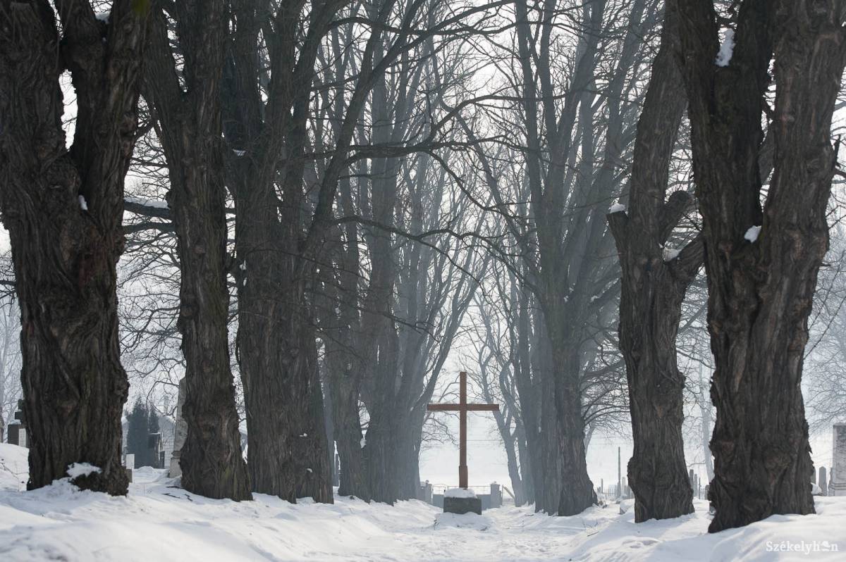 &bullet;  Fotó: Kristó Róbert