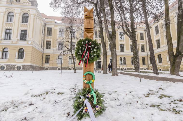 Az eredményes természettudós és a szeretett tanár emlékére