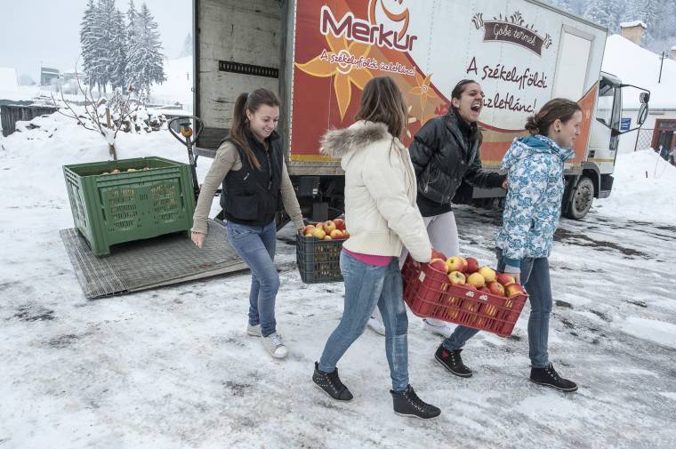 Megérkezett az első almaszállítmány a csíksomlyói gyermekotthonba
